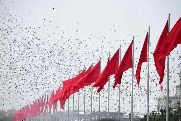 中华人民共和国招标投标法（2017年修订）